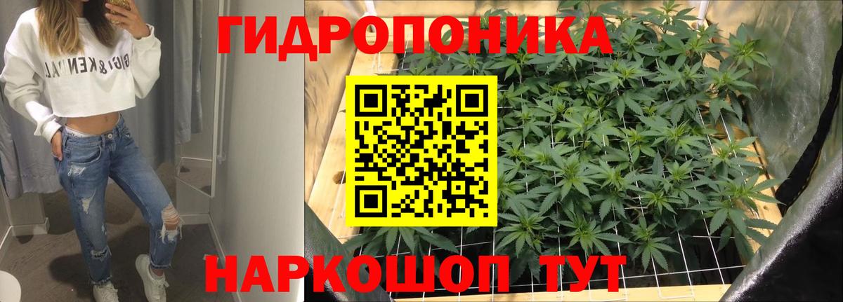 МАРИХУАНА гибрид  Каннабис марихуана  Вход с VPN  Горячий Ключ  Марихуана VHQ 